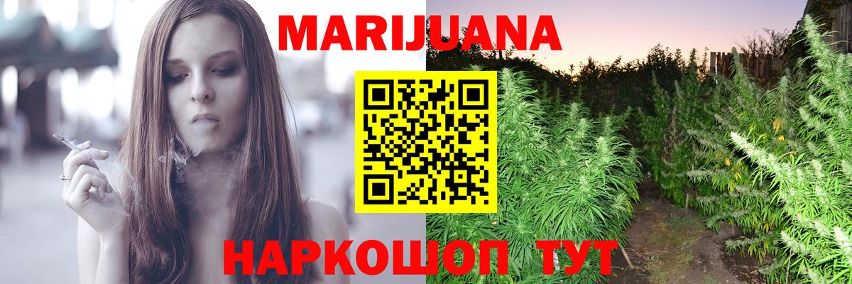 Бошки Шишки SATIVA & INDICA Сосновый Бор